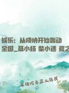 娱乐：从唢呐开始轰动全国
